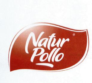 Imagen de NATUR POLLO