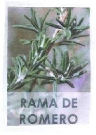 Imagen de RAMA DE ROMERO