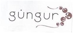 Imagen de GUN GUR