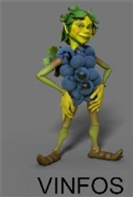 Imagen de VINFOS