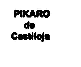 Imagen de PIKARO DE CASTILOJA