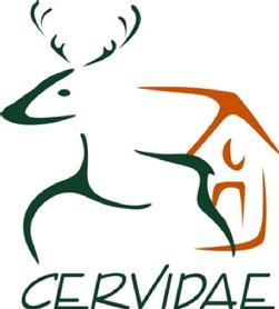 Imagen de CERVIDAE