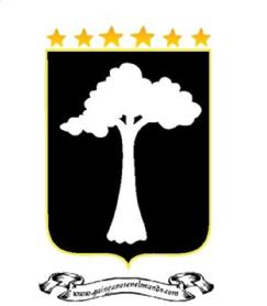 Imagen de WWW.GUINEANOSENELMUNDO.COM