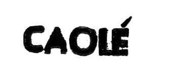 Imagen de CAOLE