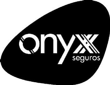 Imagen de ONYX SEGUROS