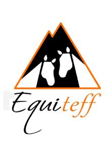Imagen de EQUITEFF