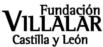 Imagen de FUNDACION VILLALAR CASTILLA Y LEON
