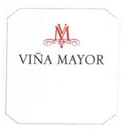 Imagen de VM VIÑA MAYOR