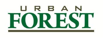 Imagen de URBAN FOREST