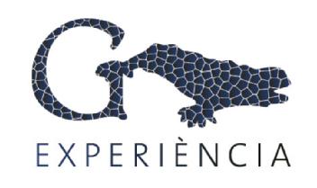 Imagen de G EXPERIENCIA