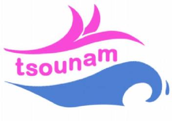 Imagen de TSOUNAM
