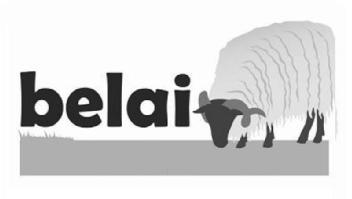 Imagen de BELAI
