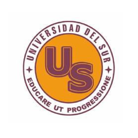Imagen de US UNIVERSIDAD DEL SUR EDUCARE UT PROGRESSIONE