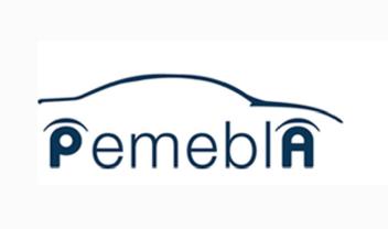 Imagen de PEMEBLA