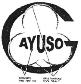 Imagen de AYUSO