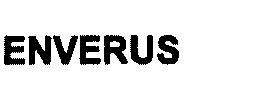 Imagen de ENVERUS