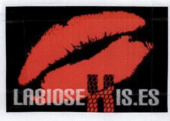 Imagen de LABIOSEXIS.ES