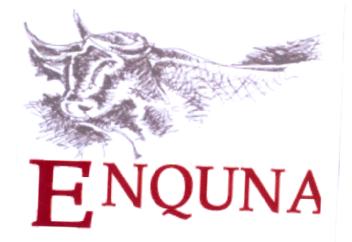 Imagen de ENQUNA