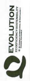 Imagen de EVOLUTION ECOEFICIENCY-SOSTENIBILITY BY CONSEJO INTERNACIONAL DE EDIFICACION Y ENERGIA SOSTENIBLE