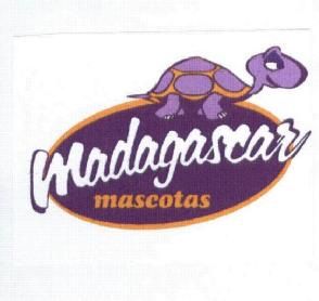 Imagen de MADAGASCAR MASCOTAS