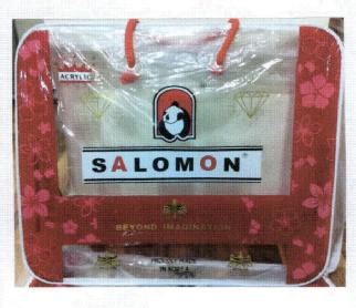 Imagen de SALOMON