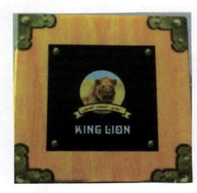 Imagen de KING LION