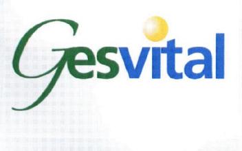 Imagen de GESVITAL