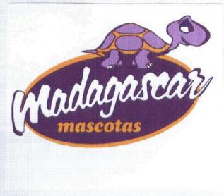 Imagen de MADAGASCAR MASCOTAS