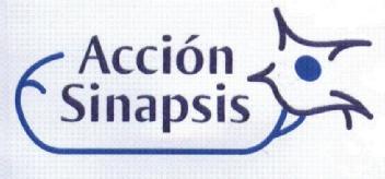 Imagen de ACCION SINAPSIS