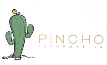 Imagen de PINCHO INFORMATICA
