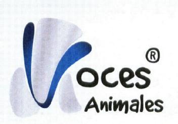 Imagen de VOCES ANIMALES