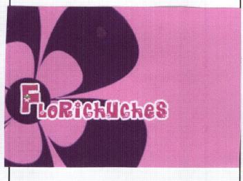 Imagen de FLORICHUCHES
