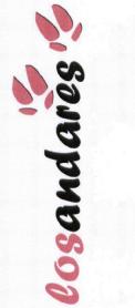 Imagen de LOSANDARES
