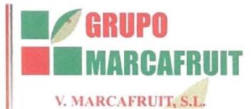Imagen de GRUPO MARCAFRUIT V. MARCAFRUIT, S.L