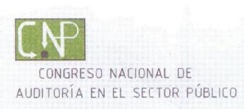 Imagen de CNP CONGRESO NACIONAL DE AUDITORIA EN EL SECTOR PUBLICO