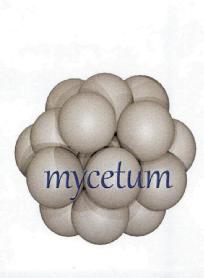 Imagen de MYCETUM