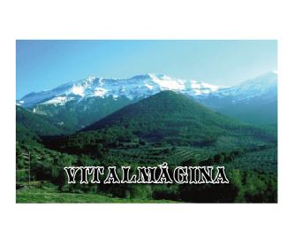 Imagen de VITALMAGINA