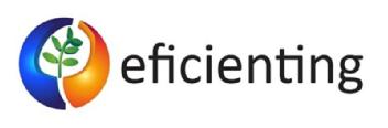 Imagen de EFICIENTING