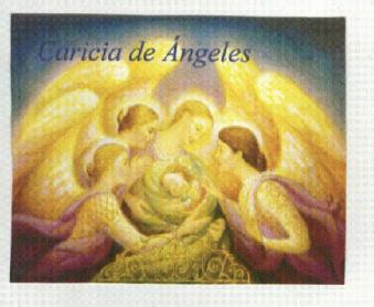 Imagen de CARICIAS DE ANGELES