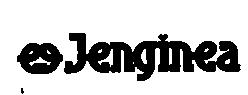 Imagen de JENGINEA