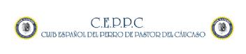 Imagen de CLUB ESPAÑOL DEL PERRO DE PASTOR DEL CAUCASO C.E.P.P.C