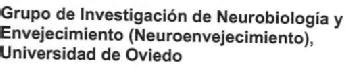 Imagen de GRUPO DE INVESTIGACION DE NEUROBIOLOGIA Y ENVEJECIMIENTO (NEUROENVEJECIMIENTO), UNIVERSIDAD DE OVIEDO