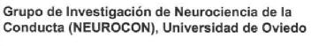 Imagen de GRUPO DE INVESTIGACION DE NEUROCIENCIA DE LA CONDUCTA (NEUROCON), UNIVERSIDAD DE OVIEDO