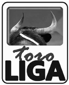 Imagen de TORO LIGA