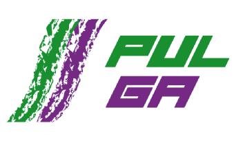 Imagen de PULGA