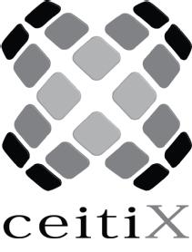Imagen de CEITIX