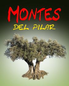 Imagen de MONTES DEL PILAR