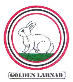 Imagen de GOLDEN LARNAB