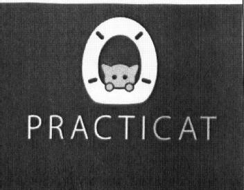 Imagen de PRACTICAT