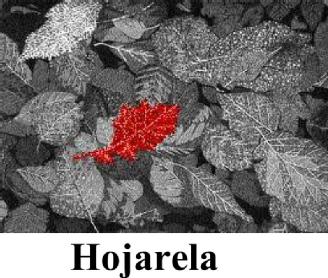 Imagen de HOJARELA